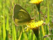 P1200400_(1600_x_1200).jpg