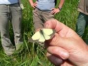 P1270186_(1600_x_1200).jpg